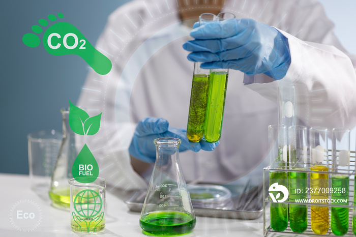 Algae biofuel has a low carbon footprint.