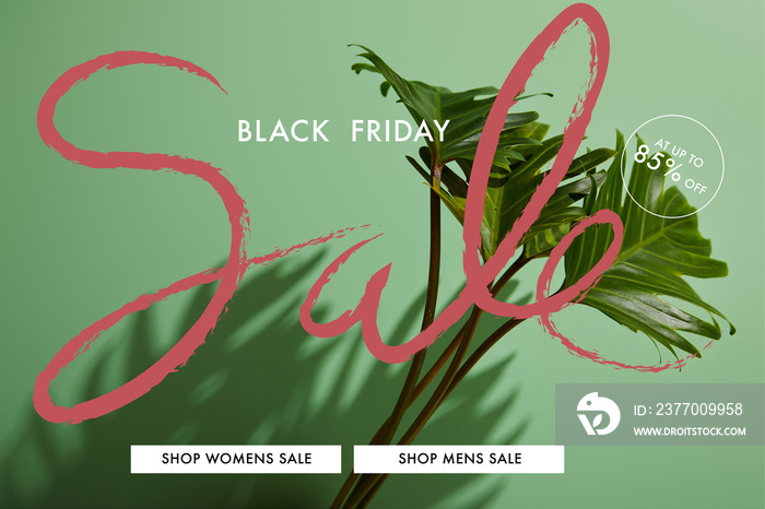 Fresh tropical green leaves on green background with black Friday sale illustration