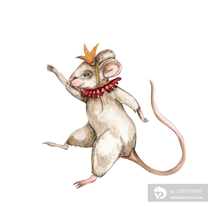 Watercolor hand drawn circus mouse vintage style. Perfect for wedding, invitations, blogs, card templates, birthday and baby cards, patterns, quotes. isolater on white background.Cute circus animals