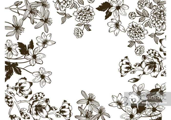 Flowers and plants engraving PNG illustration with transparent background