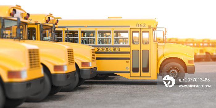 Yellow school buses in a row.