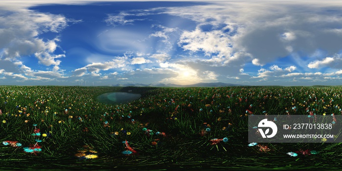 Spring meadow with flowers,, HDRI,  environment map , Round panorama, spherical panorama, equidistant projection, panorama 360, 3d rendering