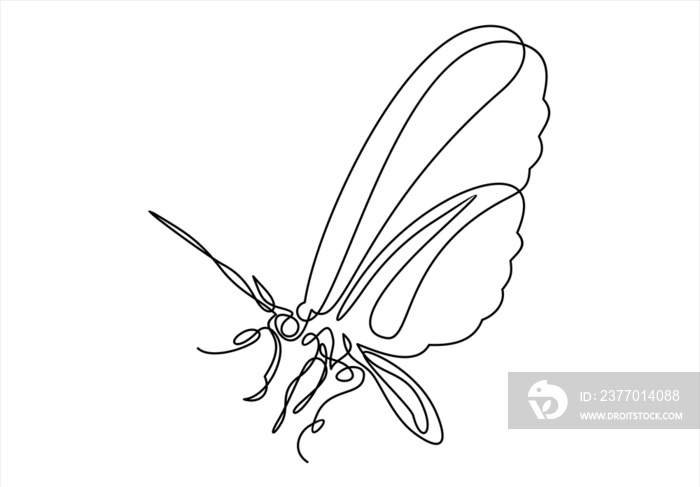 Butterfly. Continuous line drawing.