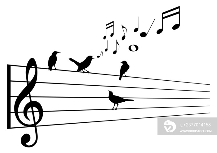 Birds gather around a talented song bird who sings as they all sit on a musical treble clef staff in an illustration on a transparent background.