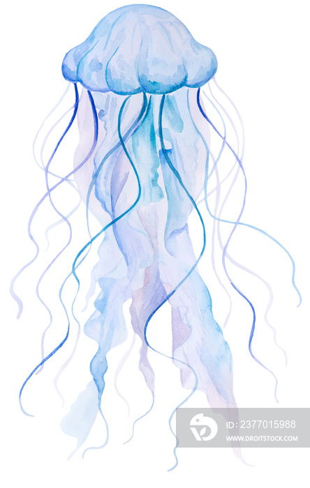 Light blue Watercolor jellyfish, isolated  for nautical sea wedding Illustration