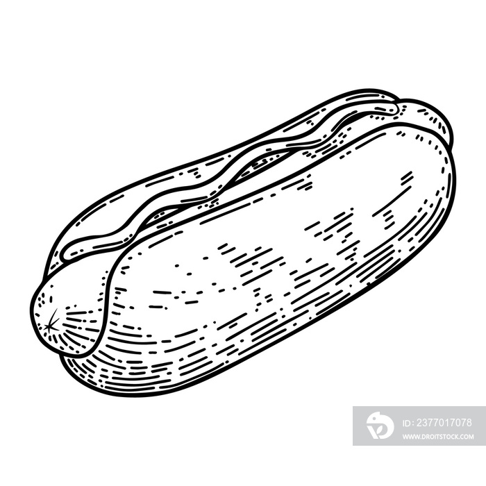 illustration of hot dog in engraving style. Design element for poster, label, sign, emblem, menu.