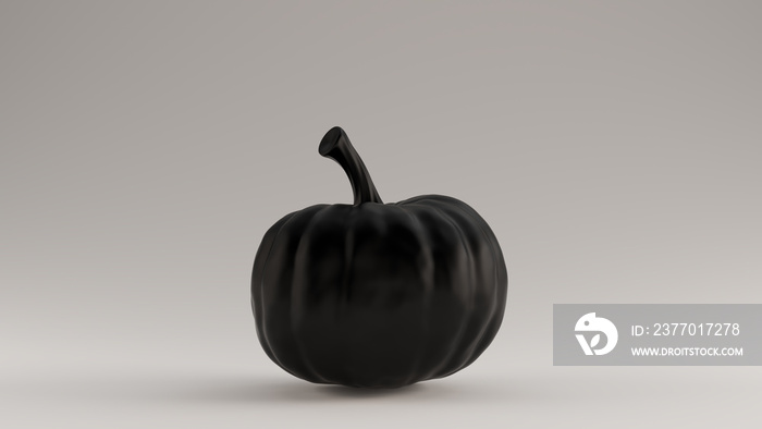 Black Pumpkin Gourd 3d illustration 3d render