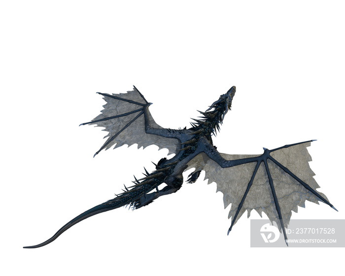 black dragon in a white background