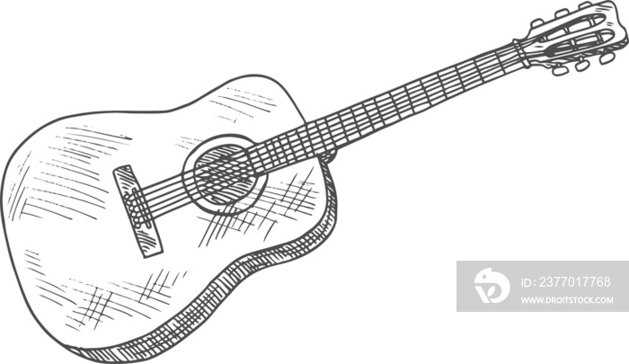 Guitar isolated fretted musical instrument sketch