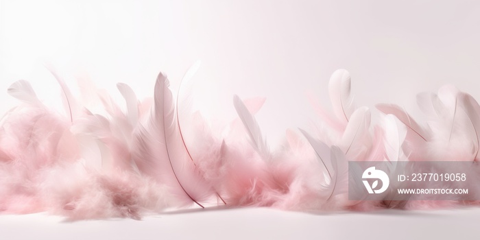 pink feather on white background. pink and white feathers.