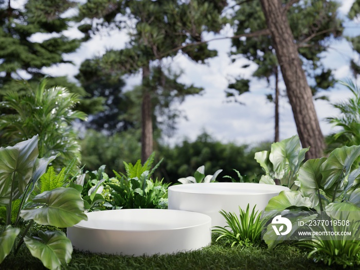 Two white podium in field of grass for product presentation behind is a view of the forest.