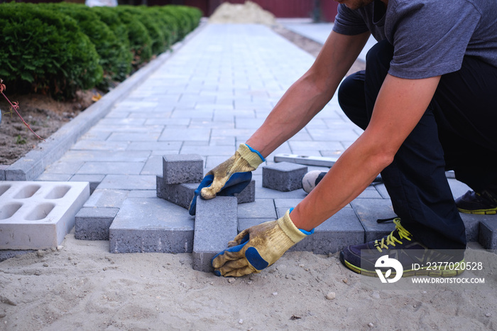 The master in yellow gloves lays paving stones in layers. Garden brick pathway paving by professional paver worker. Laying gray concrete paving slabs in house courtyard on sand foundation base.