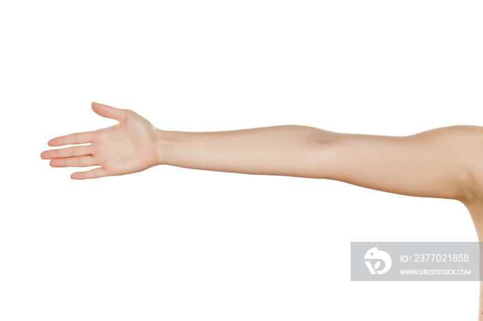 whole female hand with the palm on a white background