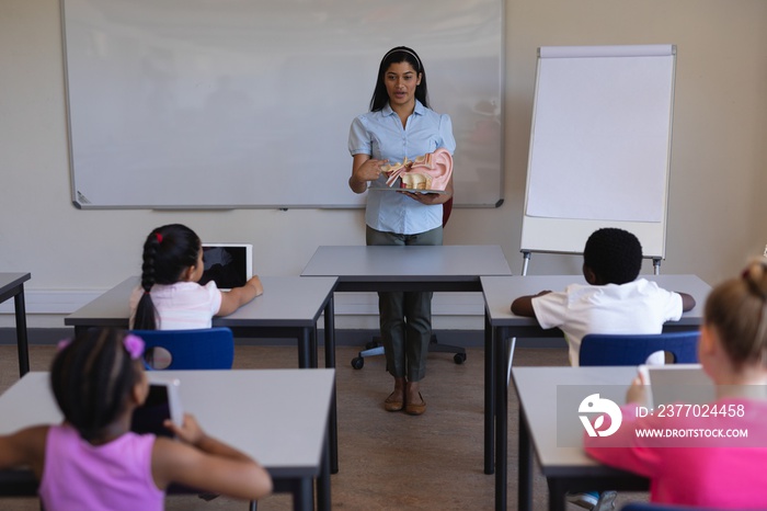 Female teacher explaining anatomy of body parts in classroom