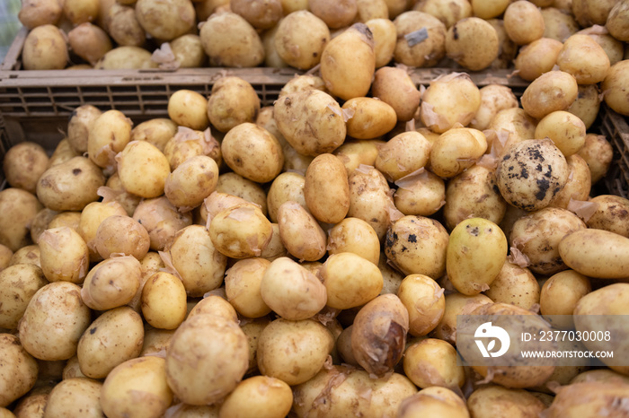 potatoes are sold in the store