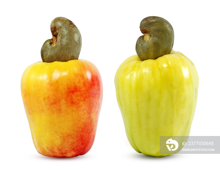 Cashew fruits isolated on white background