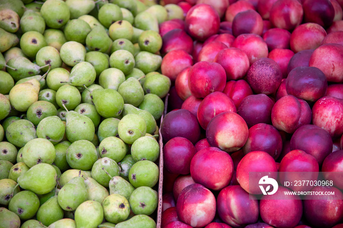 Close-Up Of Nectarine Peaches and Pears for sale at market stall. Carmel Market, Tel Aviv, Israel