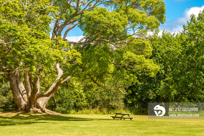 view of Kerikeri, Bay of Islands, New Zealand.