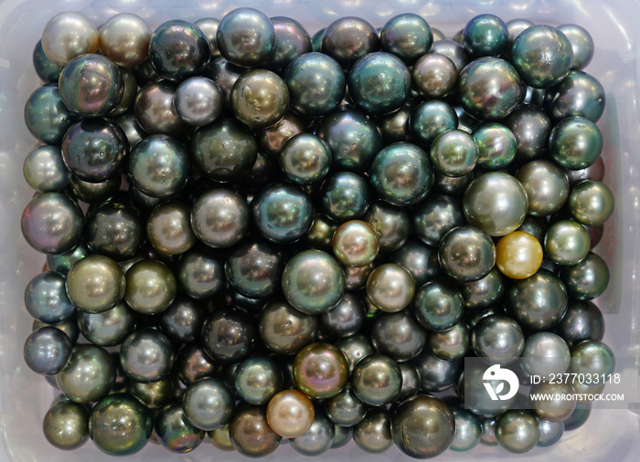 Black and green Tahitian pearls in bulk for sale in French Polynesia