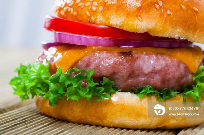 Delicious tasty hamburger with pork patty, fresh vegetables and cheese at plate