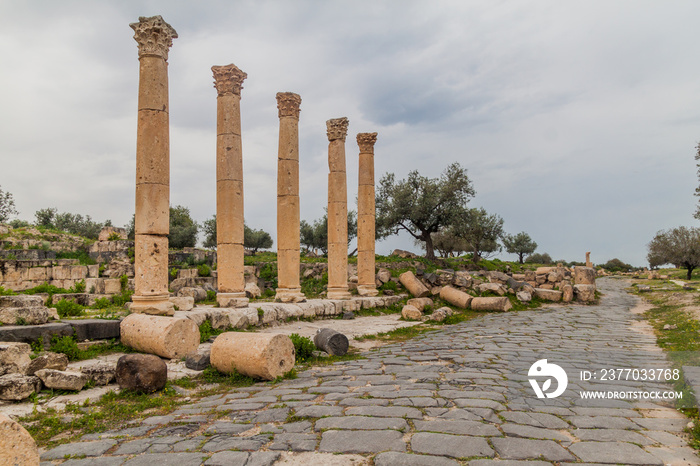 Colonnaded road at the ruins of Umm Qais, Jordan