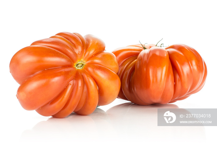 Two beef tomatoes (flower shape) isolated on white background big ripe red ribbing.