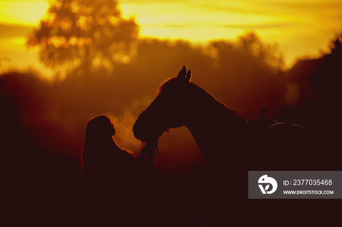 Silhouette of a girl and a horse on a background of dawn. Horse breathing vapor. A man kisses a horse