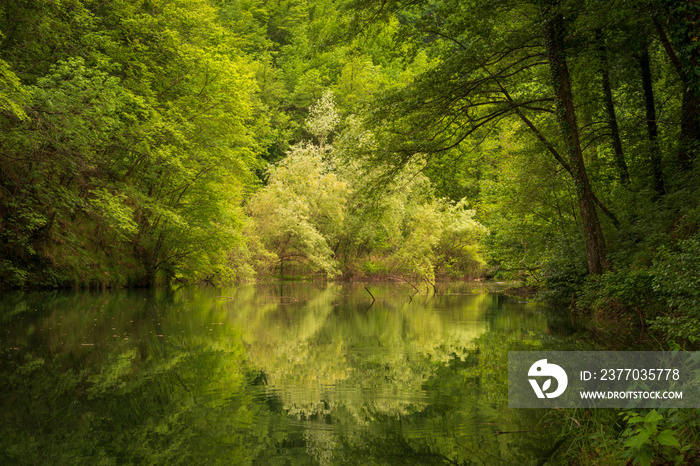 Quiete e silenzio in natura