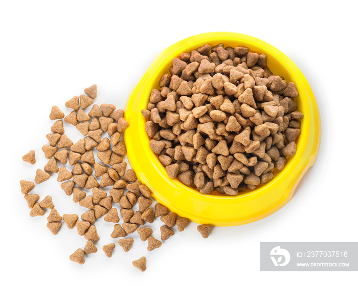 Bowl with dry pet food on white background