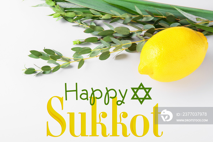 Greeting card with Sukkot festival symbols on white background