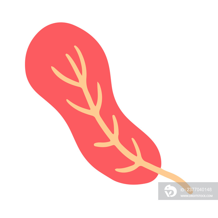 Trendy leaf illustration in minimalist style for natural design element