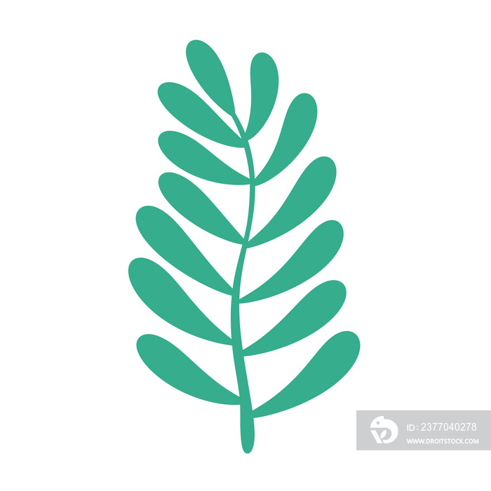 tropical Green leaf icon.