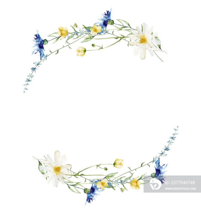 Watercolor painted floral wreath. Yellow, blue, white wild flowers. Cut out hand drawn PNG  on transparent background. Watercolour isolated clipart drawing.