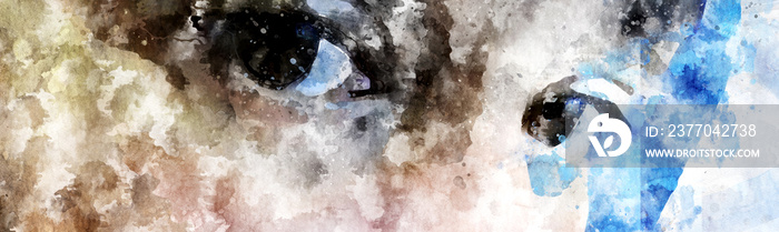 digitally created water colour images of womans eyes