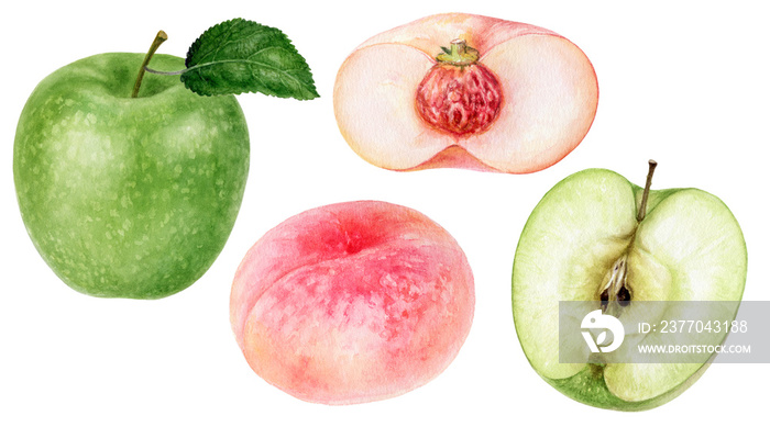 Green apple flat donut peach watercolor illustration isolated on white background