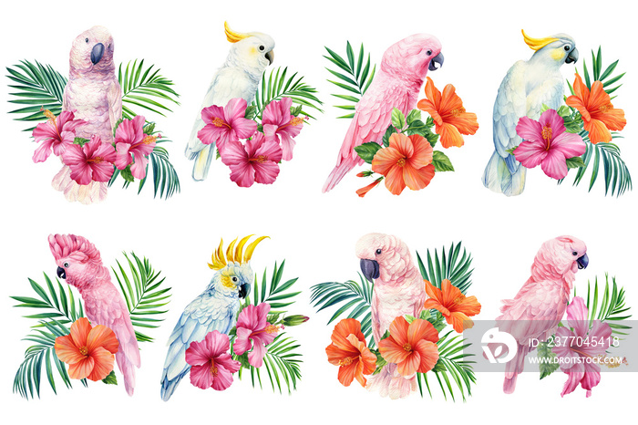 Set Cockatoo. Tropical leaves, hibiscus flower and parrot, isolated white background, watercolor painting, jungle design