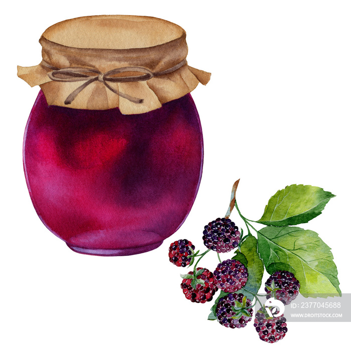 Watercolor illustrations with jar of jam blackberries isolated on the white background.Hand painted watercolor clipart.