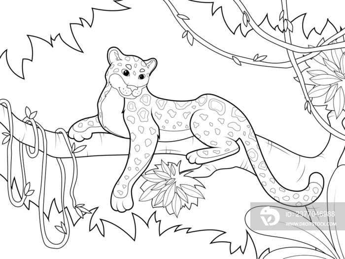 Africa, leopard sits on tree branch, around creeper. Childrens coloring, black lines, white background.