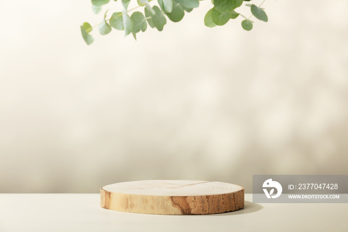 Wood slice podium with eucalyptus leaves on beige background for cosmetic product mockup