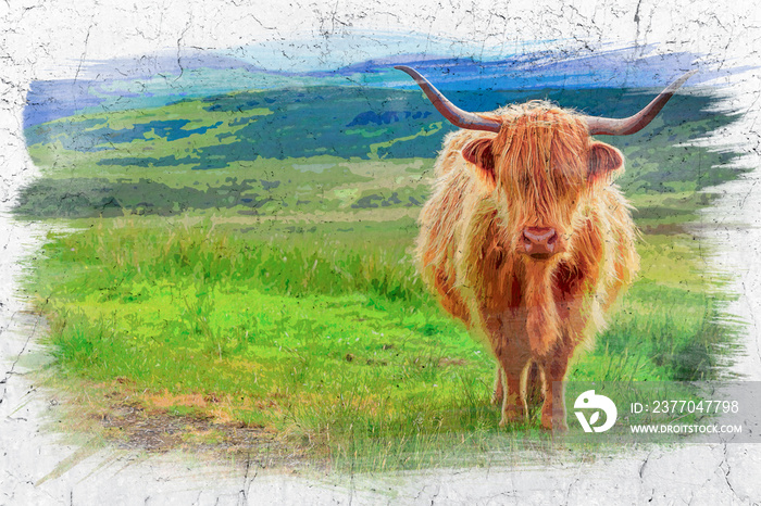 Brown highland cow in Isle of Skye, Scotland, watercolor painting