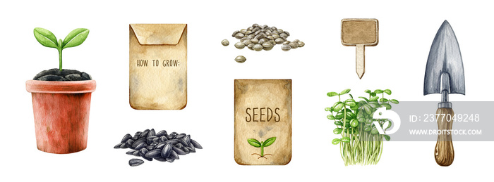 Planting tools, seeds, sprouts set. Vintage style watercolor illustration. Hand drawn garden ceramic pot, seeds, green sprouts, metal scoop element collection. White background.