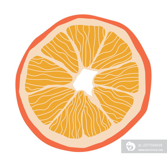 A slice of orange. Illustration on a transparent background.