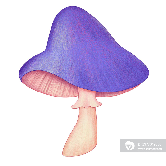 Purple toadstool isolated on transparent background