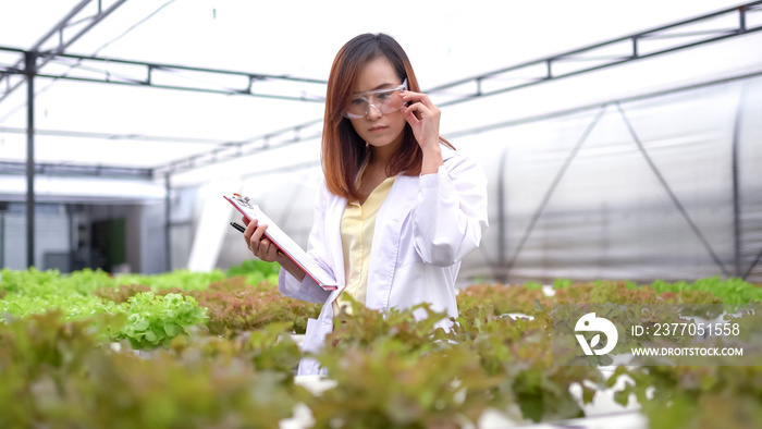 Woman science researching in hydro farm