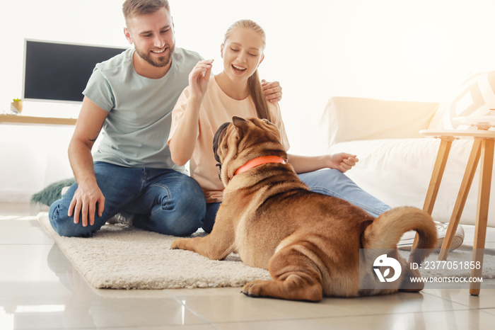 Happy couple training cute dog at home