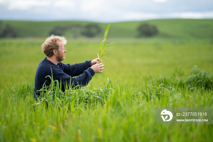 studying soil biology and soil life on a farm