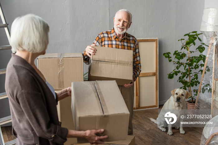 senior couple holding cardboard boxes in new house while dog sitting near