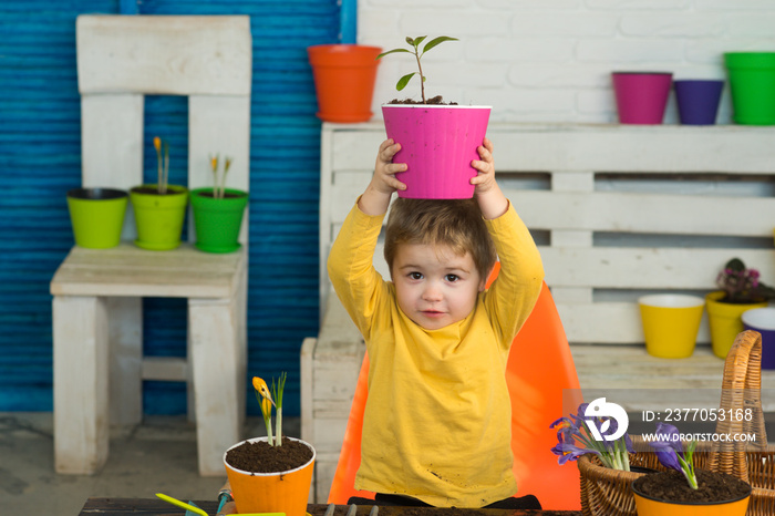 Funny kid with plant. Small helper, home garden, spring nature. Flowers in a pot. Snowdrops for mom. Hobbies for child for weekend. Boy shows plant in cozy house. Colorful children’s background