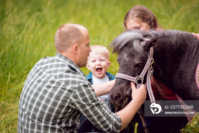 Family walks with ponies.