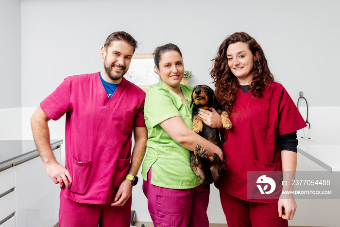 Corporate portrait of veterinary clinic staff, doctor and nurses, holding a dachshund dog. Veterinary. Health, care and welfare of pets.